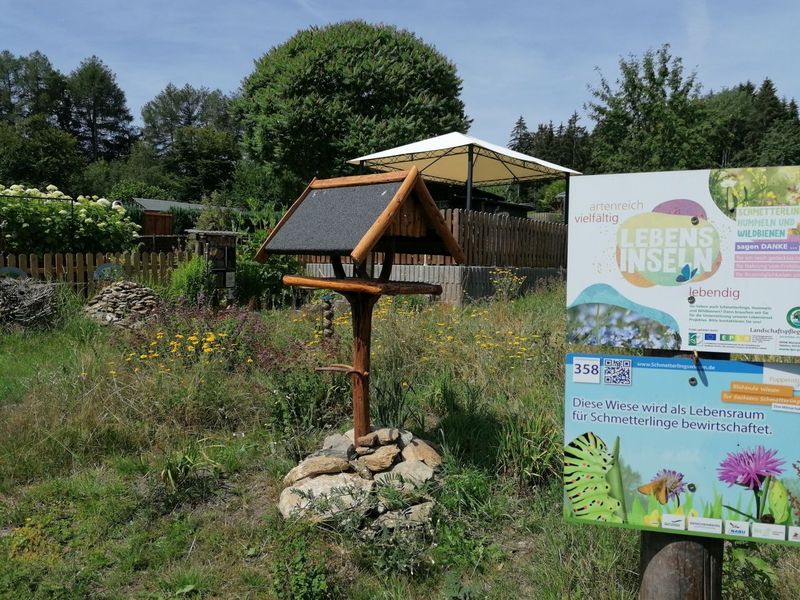 Blick in den Mehrgenerationengarten mit einem Vogelhaus in der Mitte auf einer Wildblumenwiese