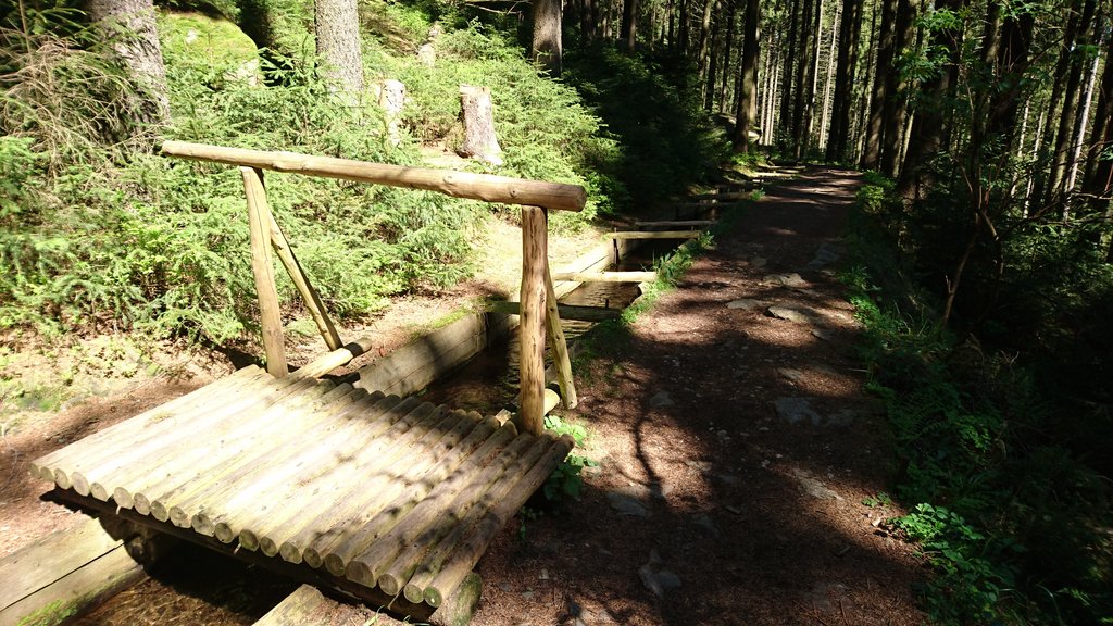 Holzsteg geht über den Röhrgraben Ehrenfriedersdorf im Wald. Erhalt lebendiger Bergbaugeschichte (Link öffnet Bild vergrößert in einem Popupfenster)