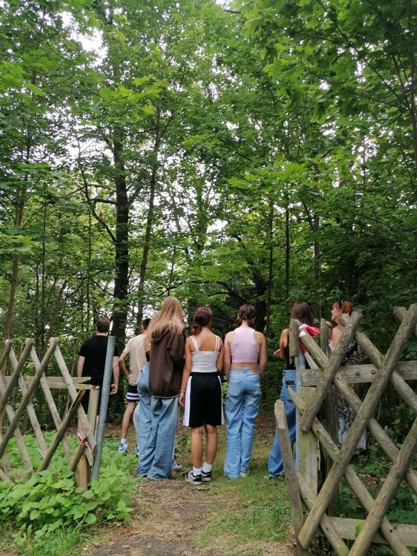 Gruppe junger Menschen steht auf einem Waldweg hinter einem Holzzaun und blickt in die grünen Bäume.